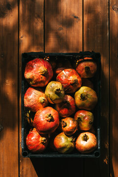 Ripe pomegranates in plastic crate under natural light