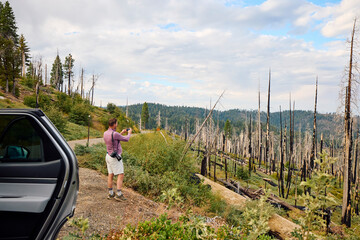 Burned forest trees in Yosemite National Park
