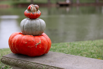 A trio of stacked heirloom pumpkins sits on a stone bench near a lake, creating a clean and simple autumn scene ideal for Thanksgiving and fall concepts.