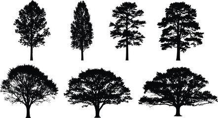 Obraz premium Tree silhouette clipart, black vector trees, nature icons, forest design elements, botanical graphics, landscape illustration, seasonal tree shapes, white background