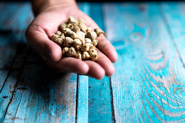 Dry Cardamom (kapulaga, Amomum compactum, cardamum). Cardamom are used as flavorings and cooking spices in food and drink