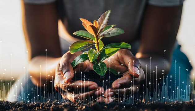 Hands holding a small green plant seedling in soil with a digital growth graph overlay illustrating agricultural technology. - Powered by Adobe