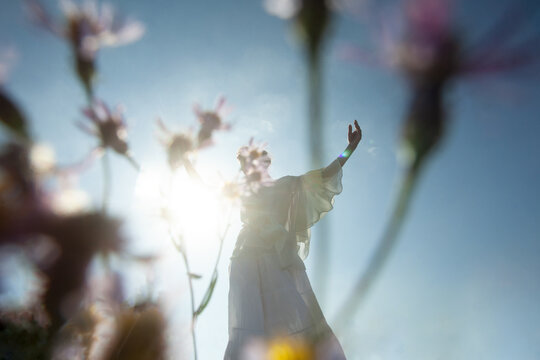 Dance among the flowers 