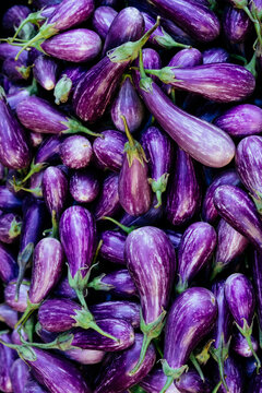Purple mini eggplants
