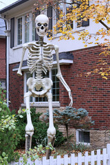 Tall skeleton as Halloween decoration in garden of house