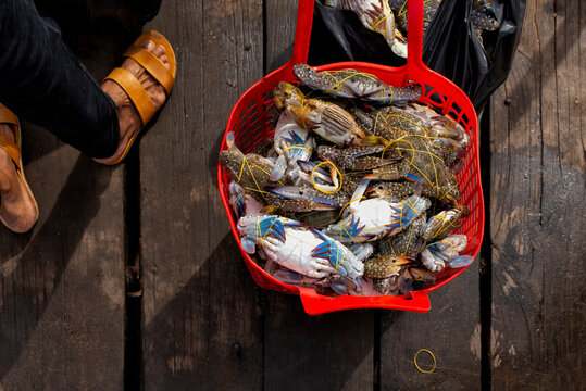 Red basket and bag full of fresh crabs