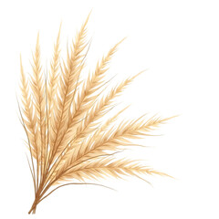 Fototapeta premium Beige Pampas Grass Plume Arrangement on Transparent Background