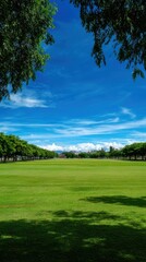 Fototapeta premium Vibrant green field under blue sky