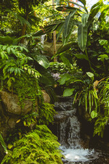 waterfall in the forest