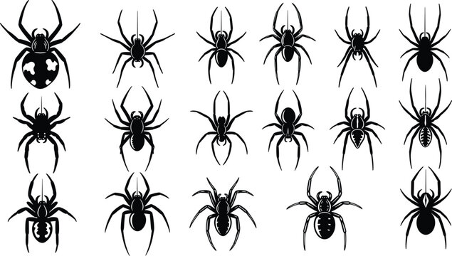 Black Vector Silhouettes of Spiders and Tarantulas, Creepy Halloween and Horror Insect Icons, Dangerous Arachnid Collection with Hairy Legs for Graphic Design, Isolated on White Background.