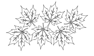 Autumn leaves silhouette graphic illustration maple leaves shapes black color single color drawing autumn season vector design