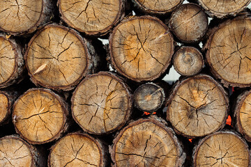 Dark colored tree ends used for firewood