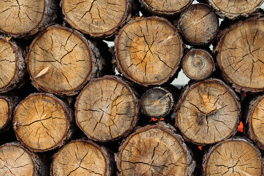 Dark colored tree ends used for firewood