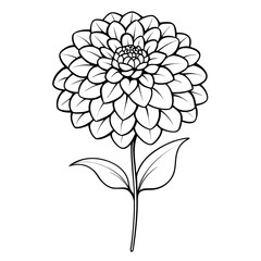 zinnia flower silhouette on white background