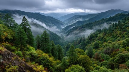 Obraz premium A misty mountain range beneath cloudy sky concept. Misty forested valley surrounded by majestic mountains and greenery.