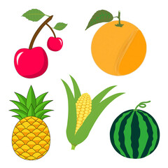 set of different types fruit illustration for cute cartoon animation
