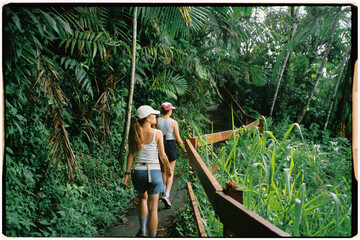 Tourists exploring the dense rainforest of El Yunque National Forest