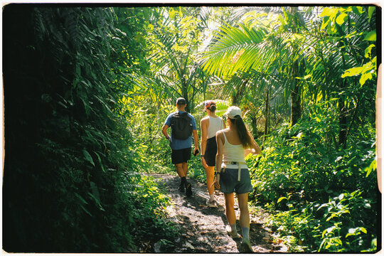 Analog shot of travelers hiking through of El Yunque National Forest