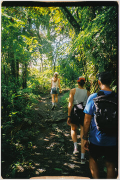 Tourists enjoying a hike in the jungle of El Yunque National Forest