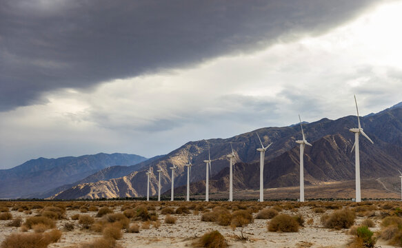 Alternative Wind Turbine farm  arid desert 