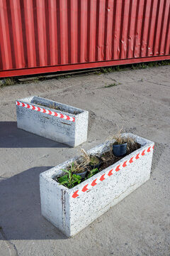 Concrete flower boxes with wilted plants