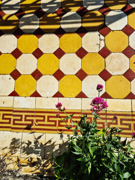 Brightly lit floral tiled floor