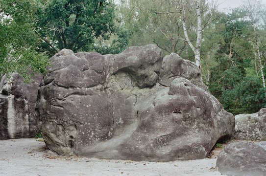 Classical boulder crag in Fountaineblueau 