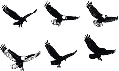 Fototapeta premium Eagle illustrations in flight and landing poses, bald and dark species, black-white anatomy - flavector