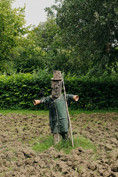 Scarecrow in the garden