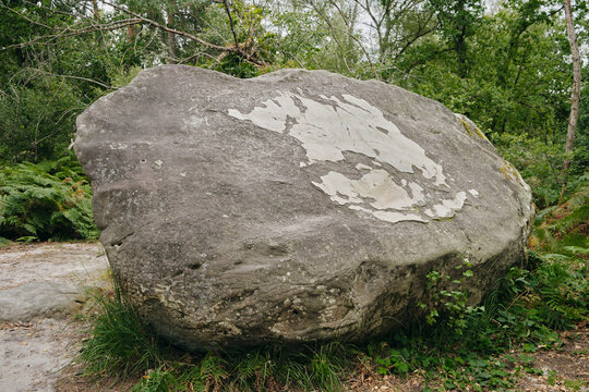 Beautiful boulder in Fountaineblueau forest