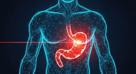 Digital representation of human stomach pain, medical diagnosis concept.