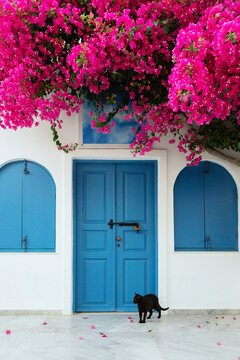 Blue Door with Flowers