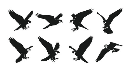 A collection of black silhouettes depicting birds in dynamic flight positions