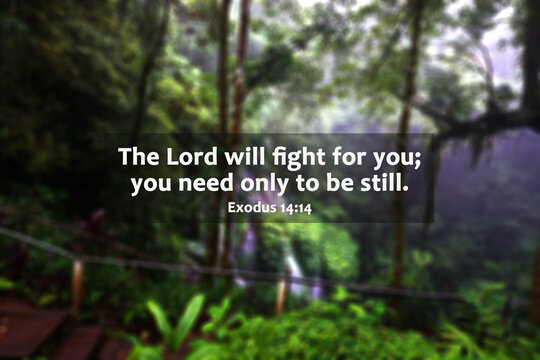 Bible verse quote - The Lord will fight for you, you need only be still. Exodus 14:14 on blur background of green nature forest with the hidden waterfall. Christianity faith concept. Religious words.