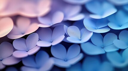 Close-up of abstract hydrangea flowers in shades of blue and pink, with soft, diffused lighting.