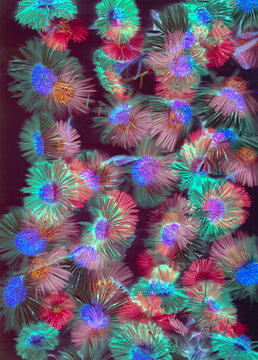 Colorful flowers with bright neon effects in dark