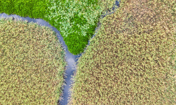 Aerial Wetland Park Meandering Stream