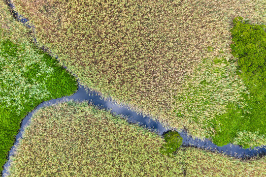 Aerial Wetland Park Meandering Stream