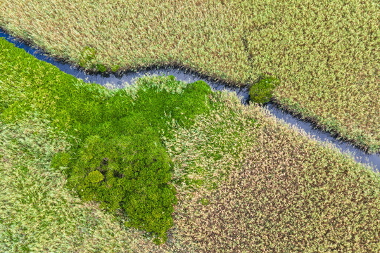 Aerial View of Wetland Stream and Bright Green Patch