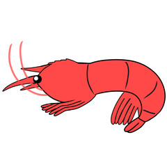 shrimp simple illustration
エビ　えび　海老　シンプル　イラスト
