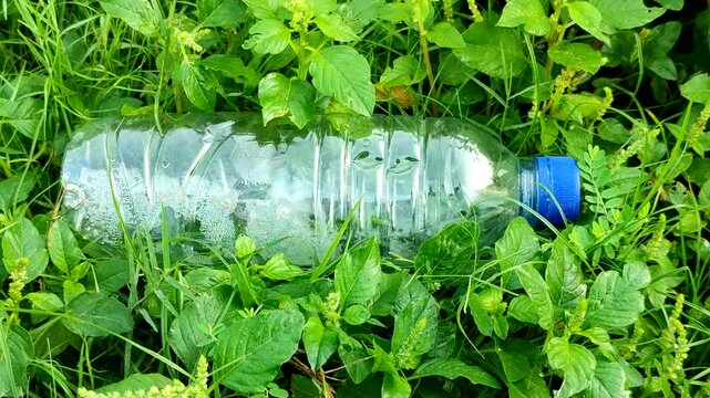A clear plastic water bottle discarded amidst lush, green grass and wild plants. The concept highlights the serious problem of plastic waste pollution and its impact on the environment.