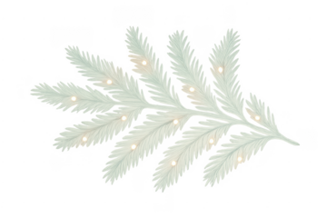 White pine branch decorating with glowing christmas fairy lights