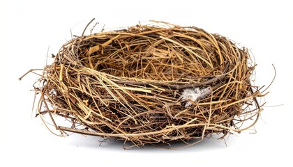 Close-up studio shot of a bird's nest constructed from twigs, straw, and natural fibers, isolated