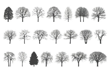 Collection of 20 Tree and Branch Silhouettes in Minimalist Style