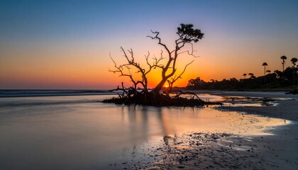 A scenic coastal view with an isolated tree silhouetted against a vibrant sunset sky