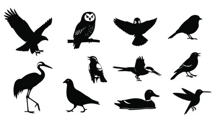 Fototapeta premium Collection of various bird silhouettes in black and white.
