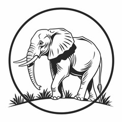 Obraz premium vector image of an elephant