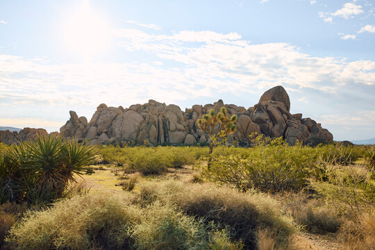 Skull rock formation