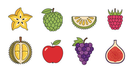 Colorful assortment of fresh fruit illustrations for design and marketing