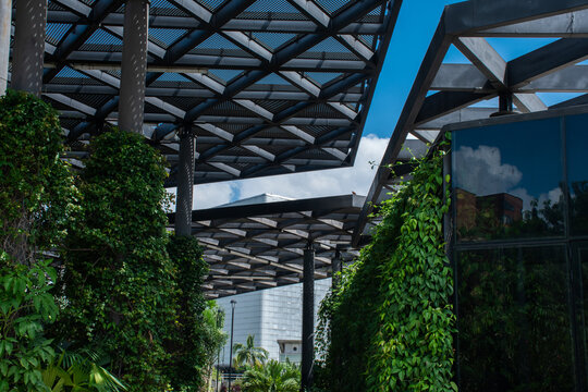 Modern Architecture Blends With Nature in Urban Setting
